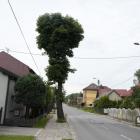 zdjęcie nr 14