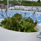 Wodny Plac Zabaw na Plantach po remoncie