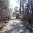 Park Gródek w Jaworznie, czyli 