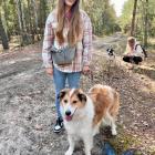 Spacer z psami do adopcji