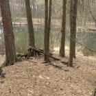 Ogrodzona plaża, Żabnik, zachodni staw