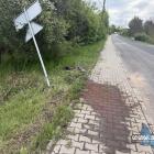 zdjęcie nr 8