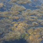 Woda w Zalewie Sosina w Jaworznie