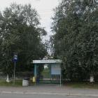 Brzozy Niedzieliska