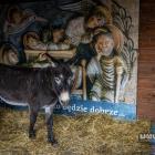 Przeżyj Adwent we Wspólnocie Betlejem.