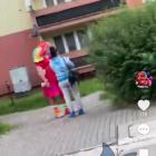 Fotka nr 4 z 7
