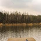 zdjęcie nr 81