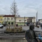 Ambrowiec amerykański na rynku w Jaworznie