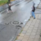 Fotka nr 5 z 8