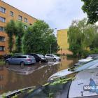 zdjęcie nr 66