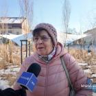 Sonda uliczna: 