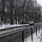 zdjęcie nr 45