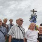 zdjęcie nr 14