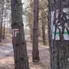 Oznakowanie szlaków pieszych i rowerowych na terenie Jaworzna wymaga odświeżenia. Część...