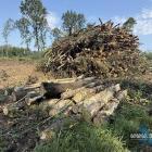 zdjęcie nr 31