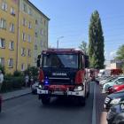 Fotka nr 5 z 9