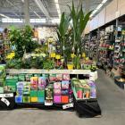 Bricomarché w Jaworznie świętuje drugie urodziny