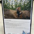 zdjęcie nr 15