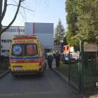 zdjęcie nr 8