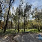 Park Lotników