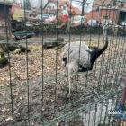 zdjęcie nr 33