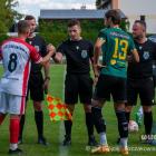 Fotka nr 3 z 17
