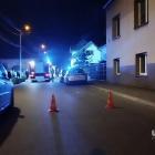 Fotka nr 1 z 11