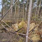 zdjęcie nr 28
