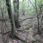 zdjęcie nr 8