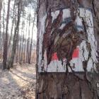 Oznakowanie szlaków pieszych i rowerowych na terenie Jaworzna wymaga odświeżenia. Część...