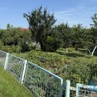 zdjęcie nr 35