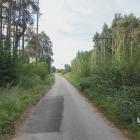 zdjęcie nr 11