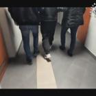 Obywatel Ukrainy chciał przekupić policjantów. Zostanie deportowany z Polski. Fot. KMP...