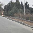 Budowa chodnika przy ul. Drabika