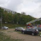Strażacy z Jaworzna uratowali rannego gołębia