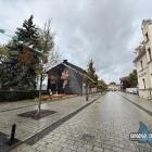 Basia Trzetrzelewska na muralu w Jaworznie