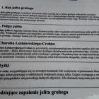 zdjęcie nr 11