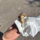 Kiełbasa z gwoździem