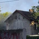Fotka nr 4 z 25