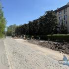 zdjęcie nr 31