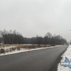 Jeleń Dąb