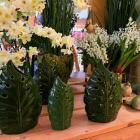 Centrum Ogrodnicze JAWOR