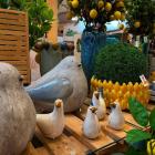 Centrum Ogrodnicze JAWOR