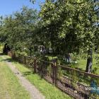 zdjęcie nr 42