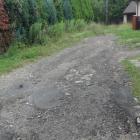 zdjęcie nr 8