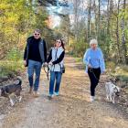 Spacer z psami do adopcji
