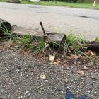 Zniszczony Park Gródek w Jaworznie. Zdjęcia nadesłane przez mieszkankę Jaworzna