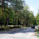 zdjęcie nr 16