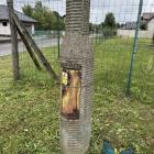 zdjęcie nr 7
