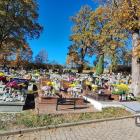zdjęcie nr 73